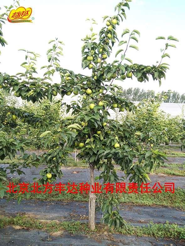 �������������ҵ���޹�˾